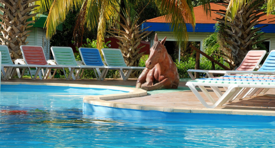 Hotel Ficha