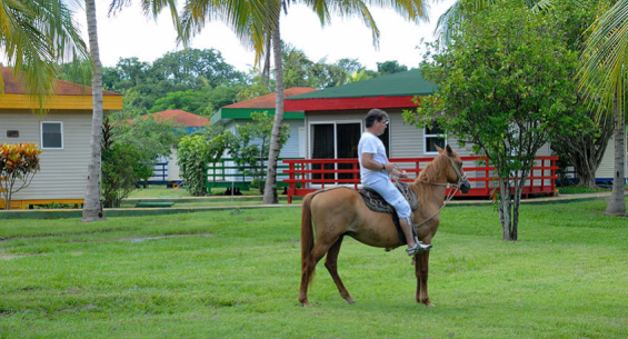 Hotel Ficha